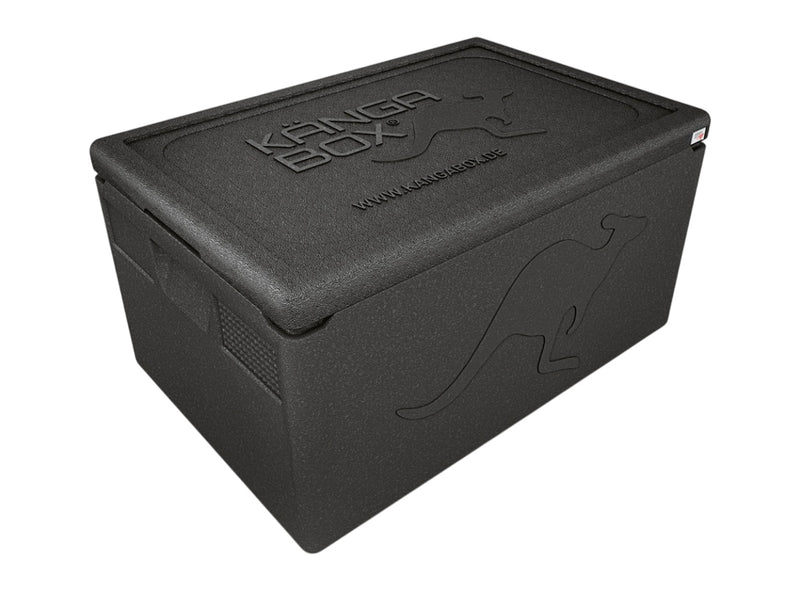Kängabox Professional Thermobox für GN 1/1 mit Standardgriff 48 l